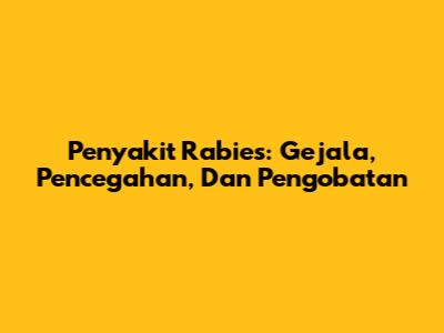 Penyakit Rabies: Gejala, Pencegahan, Dan Pengobatan
