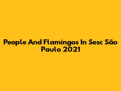 People And Flamingos In Sesc São Paulo 2021
