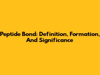 Peptide Bond: Definition, Formation, And Significance