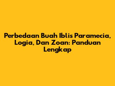 Perbedaan Buah Iblis Paramecia, Logia, Dan Zoan: Panduan Lengkap