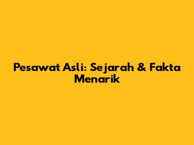 Pesawat Asli: Sejarah & Fakta Menarik