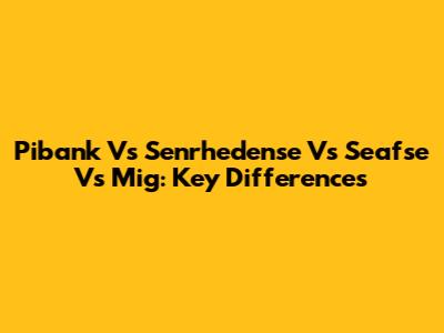 Pibank Vs Senrhedense Vs Seafse Vs Mig: Key Differences