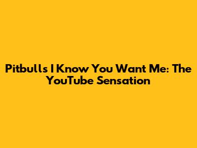 Pitbull's "I Know You Want Me": The YouTube Sensation