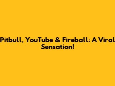 Pitbull, YouTube & Fireball: A Viral Sensation!