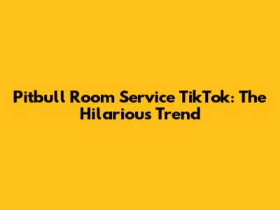 Pitbull Room Service TikTok: The Hilarious Trend