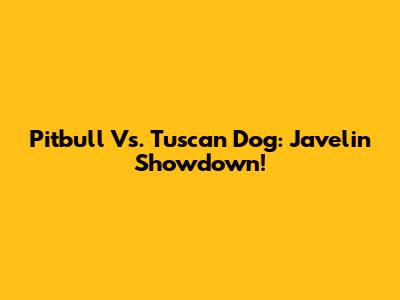 Pitbull Vs. Tuscan Dog: Javelin Showdown!