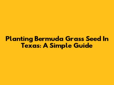 Planting Bermuda Grass Seed In Texas: A Simple Guide