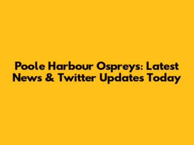 Poole Harbour Ospreys: Latest News & Twitter Updates Today