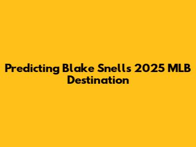 Predicting Blake Snell's 2025 MLB Destination