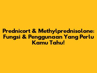 Prednicort & Methylprednisolone: Fungsi & Penggunaan Yang Perlu Kamu Tahu!