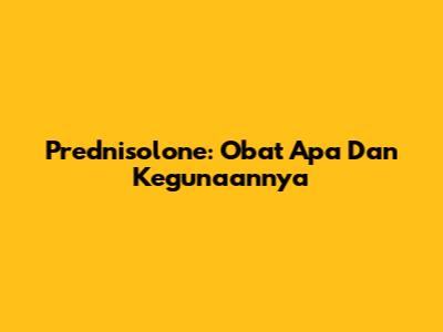 Prednisolone: Obat Apa Dan Kegunaannya