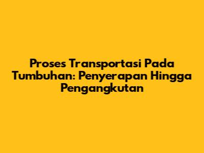 Proses Transportasi Pada Tumbuhan: Penyerapan Hingga Pengangkutan