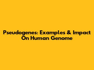 Pseudogenes: Examples & Impact On Human Genome
