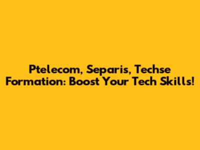 Ptelecom, Separis, Techse Formation: Boost Your Tech Skills!