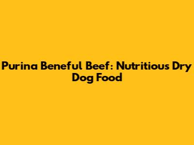 Purina Beneful Beef: Nutritious Dry Dog Food