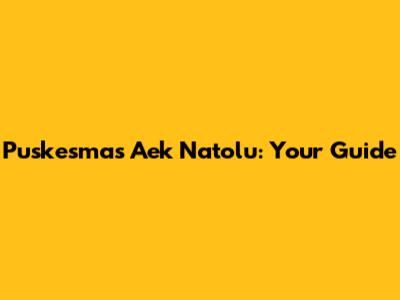Puskesmas Aek Natolu: Your Guide