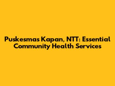 Puskesmas Kapan, NTT: Essential Community Health Services