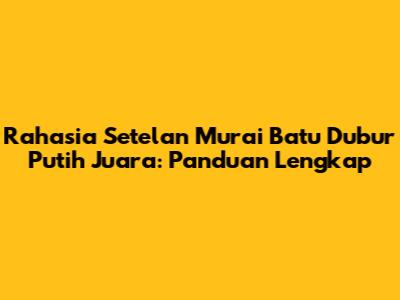 Rahasia Setelan Murai Batu Dubur Putih Juara: Panduan Lengkap
