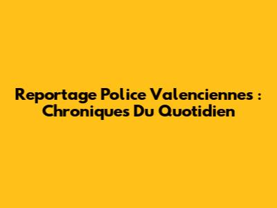 Reportage Police Valenciennes : Chroniques Du Quotidien