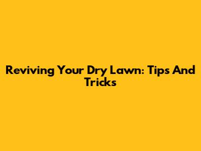 Reviving Your Dry Lawn: Tips And Tricks