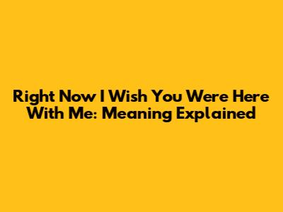 Right Now I Wish You Were Here With Me: Meaning Explained
