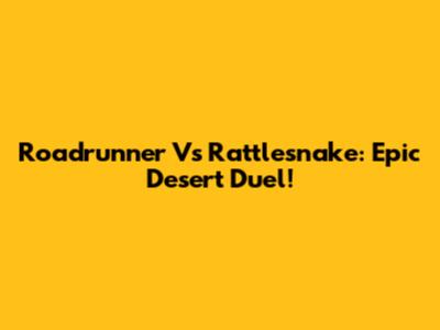 Roadrunner Vs Rattlesnake: Epic Desert Duel!