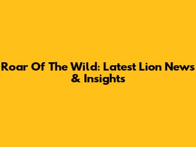 Roar Of The Wild: Latest Lion News & Insights