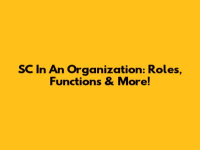 SC In An Organization: Roles, Functions & More!