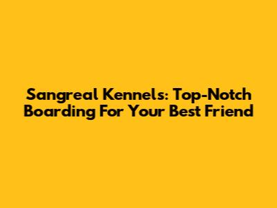 Sangreal Kennels: Top-Notch Boarding For Your Best Friend