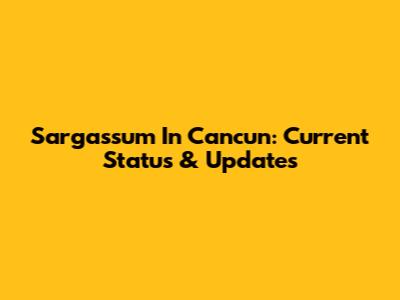 Sargassum In Cancun: Current Status & Updates