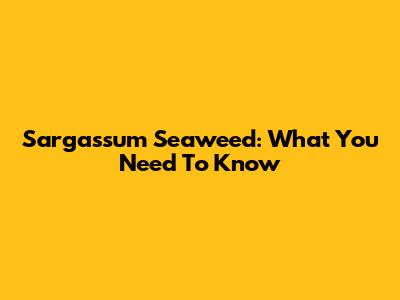 Sargassum Seaweed: What You Need To Know
