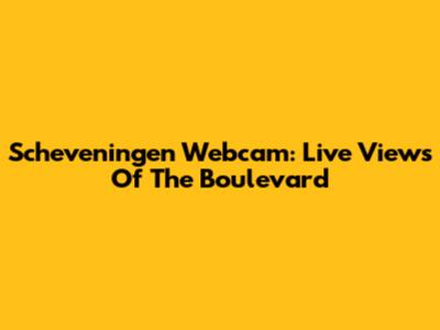 Scheveningen Webcam: Live Views Of The Boulevard
