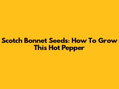 Scotch Bonnet Seeds: How To Grow This Hot Pepper