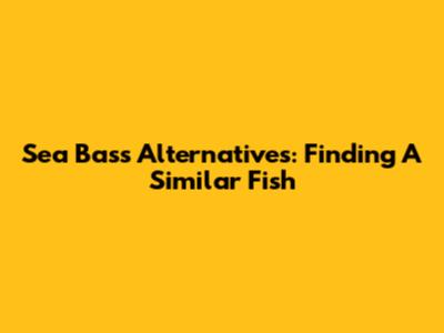Sea Bass Alternatives: Finding A Similar Fish