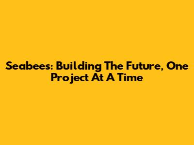 Seabees: Building The Future, One Project At A Time