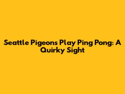 Seattle Pigeons Play Ping Pong: A Quirky Sight