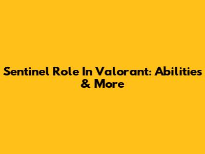 Sentinel Role In Valorant: Abilities & More