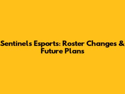 Sentinels Esports: Roster Changes & Future Plans