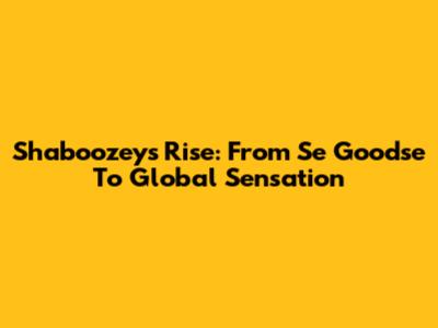Shaboozey's Rise: From 'Se Goodse' To Global Sensation