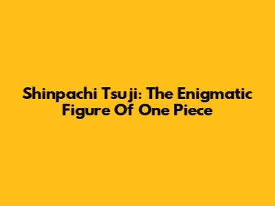 Shinpachi Tsuji: The Enigmatic Figure Of One Piece
