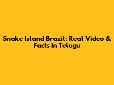 Snake Island Brazil: Real Video & Facts In Telugu