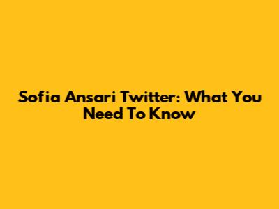 Sofia Ansari Twitter: What You Need To Know