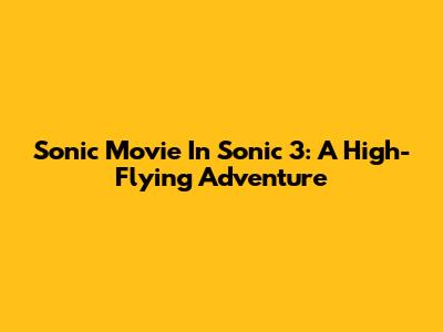 Sonic Movie In Sonic 3: A High-Flying Adventure