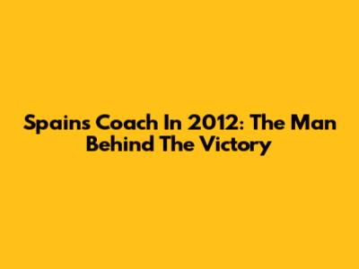 Spain's Coach In 2012: The Man Behind The Victory