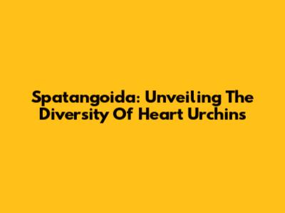 Spatangoida: Unveiling The Diversity Of Heart Urchins
