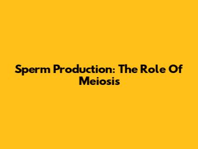 Sperm Production: The Role Of Meiosis