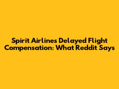 Spirit Airlines Delayed Flight Compensation: What Reddit Says