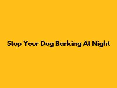 Stop Your Dog Barking At Night