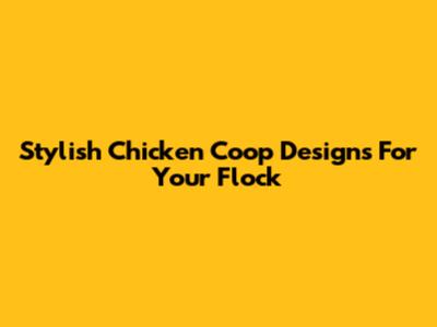Stylish Chicken Coop Designs For Your Flock