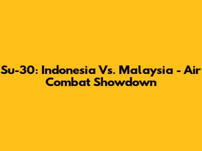 Su-30: Indonesia Vs. Malaysia - Air Combat Showdown